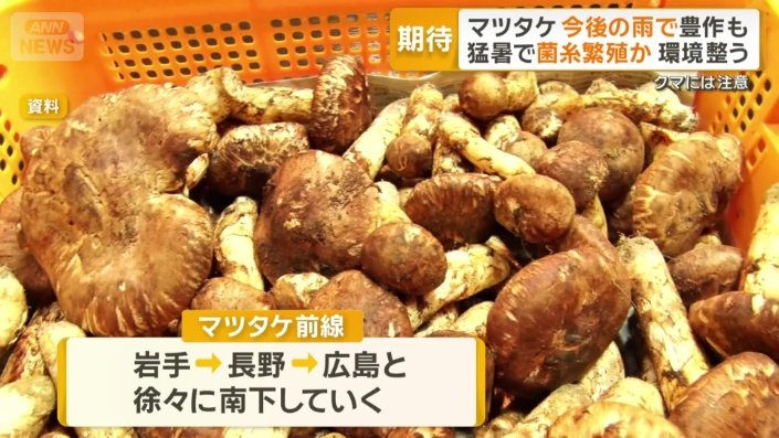 マツタケ前線