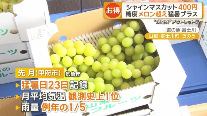 山梨県甲府市は先月猛暑日を23日記録