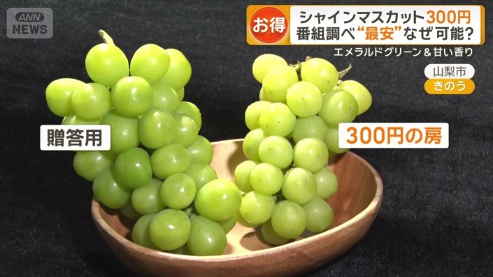 贈答用より一回り小さいサイズですが味はほとんど変わらず