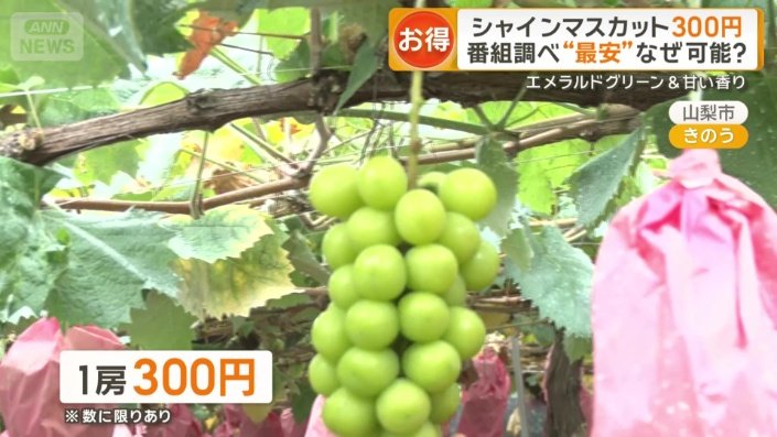 最も安いシャインマスカットは1房300円