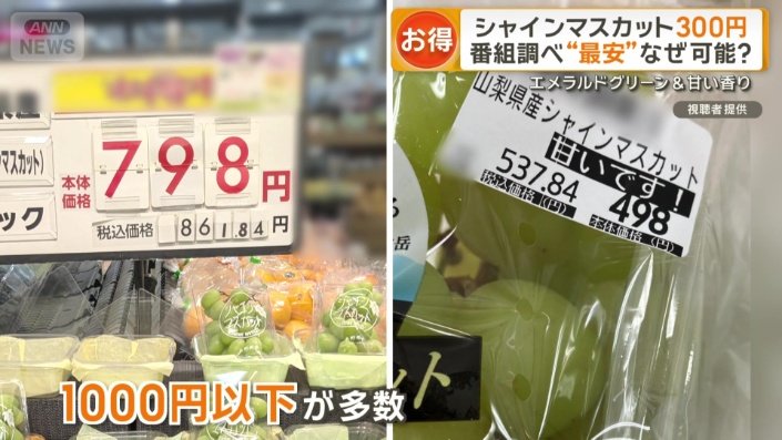 1000円以下で販売されている店が多くあった