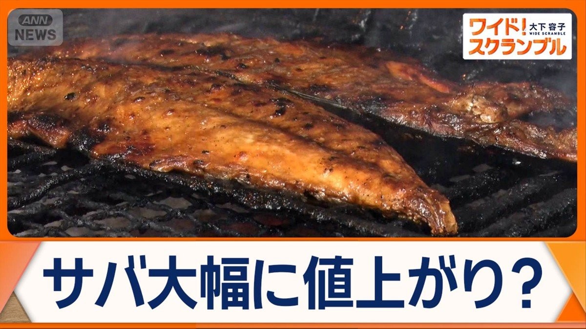 ノルウェー産のサバ　大幅に値上がりか　去年比5割以上急騰　国産サバにも影響？