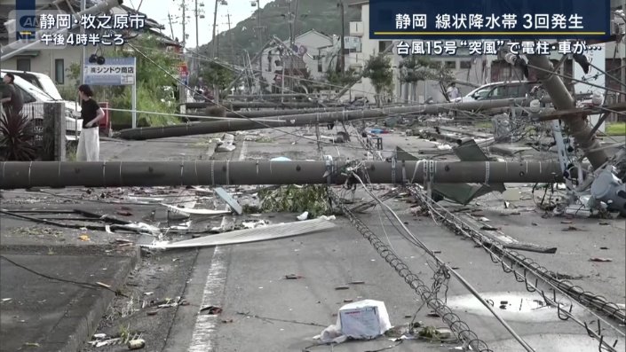 根こそぎ倒れた電柱