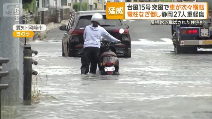 車が通れないような場所も