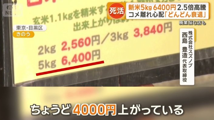 価格は去年の2.5倍
