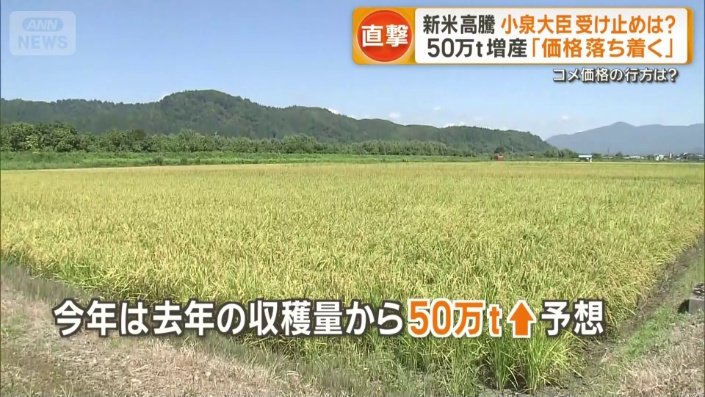 価格が落ち着く考え