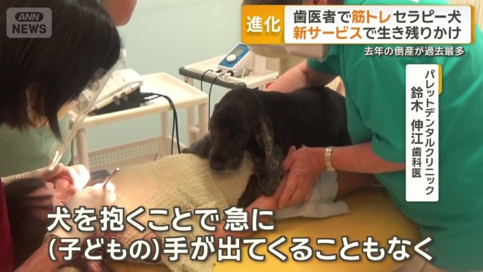 患者を見守るセラピー犬