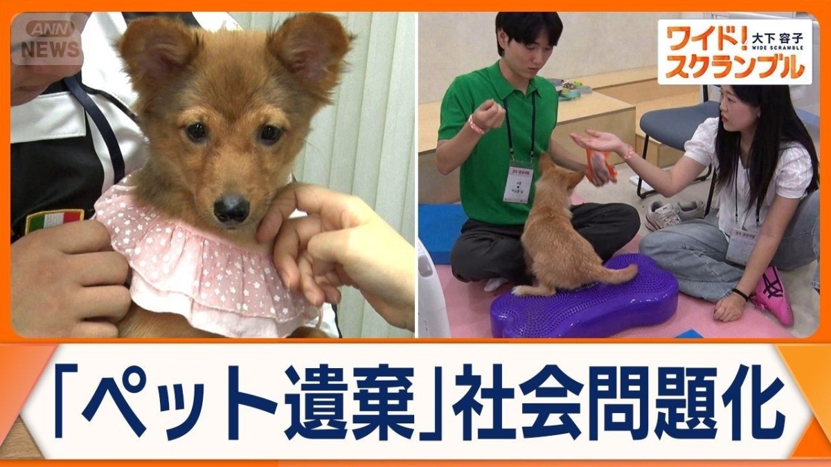 ペット需要増も…遺棄が社会問題に　政府が保護犬お見合いツアー開催　韓国