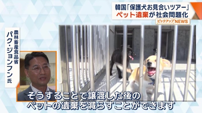 政府の担当者