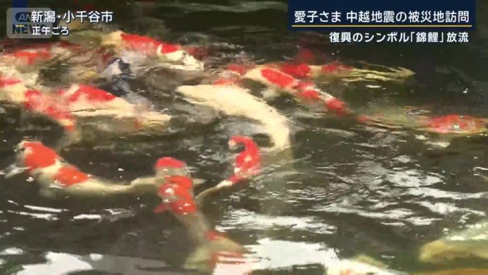 錦鯉の里