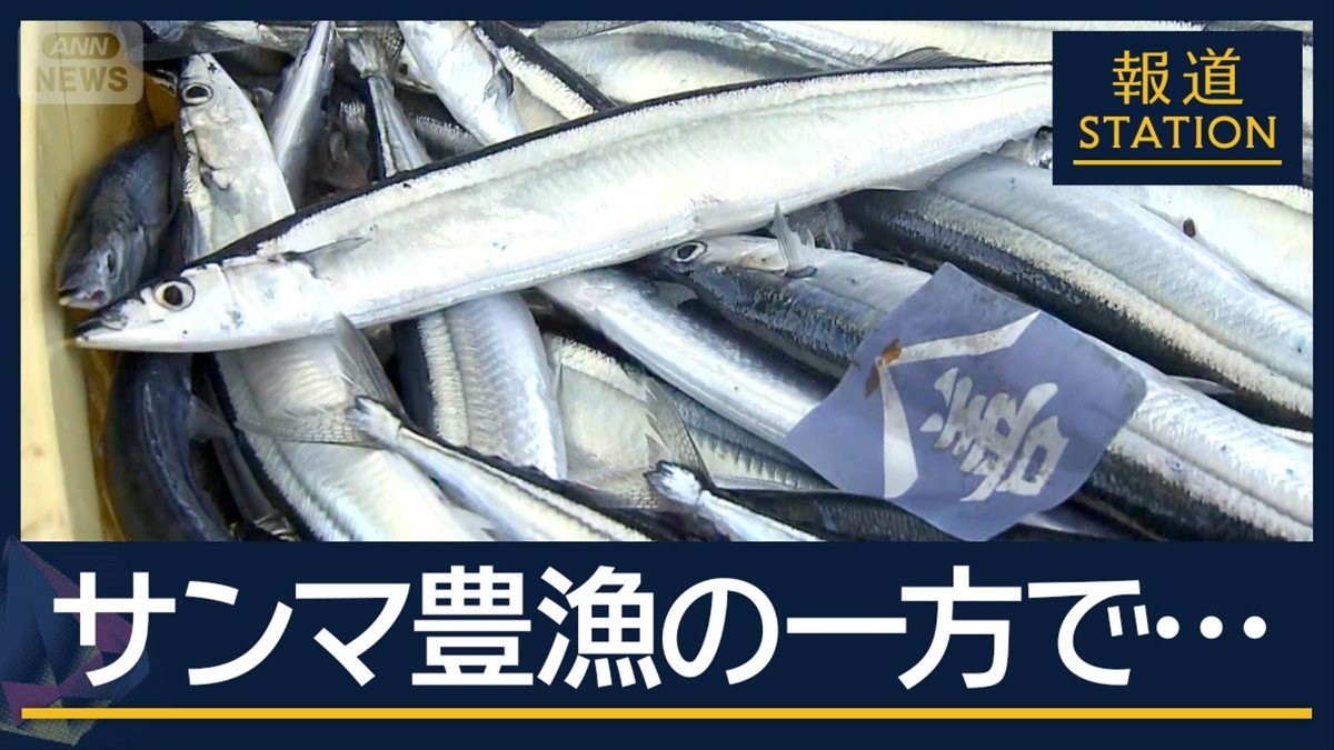 大ぶりで安い“ミラクルサンマ”…受け入れ態勢 追いつかず休漁も　北の海に異変
