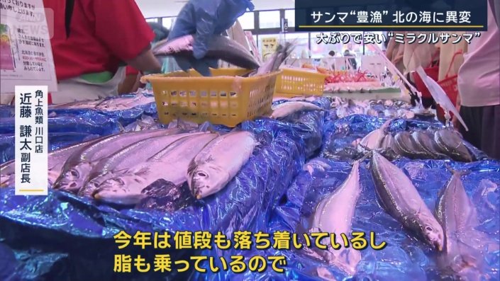 角上魚類川口店　近藤謙太副店長