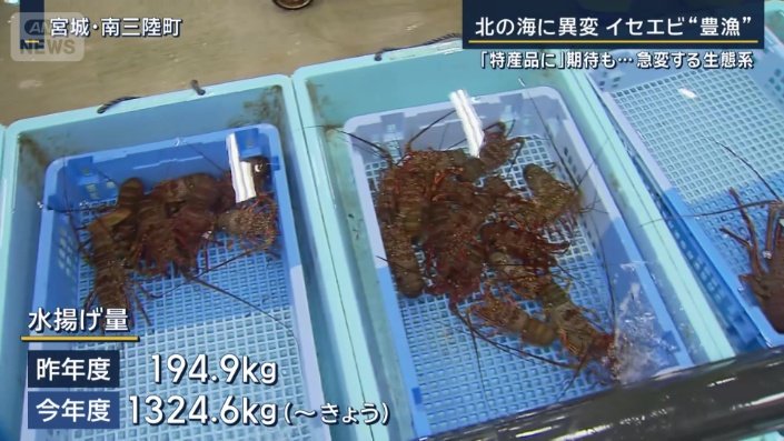 水揚げ量