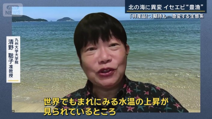 九州大学大学院　清野聡子准教授
