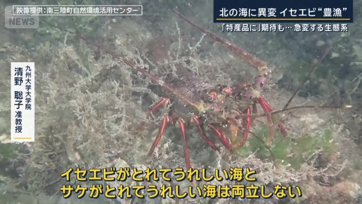 九州大学大学院　清野聡子准教授