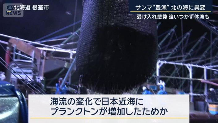 理由