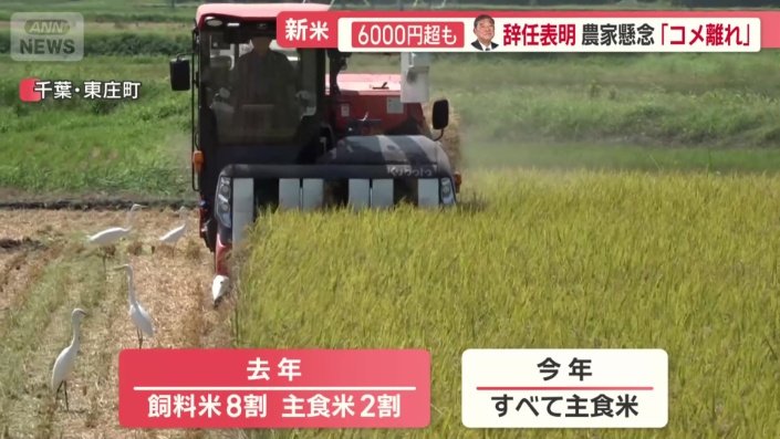 今年はすべて主食米に変更