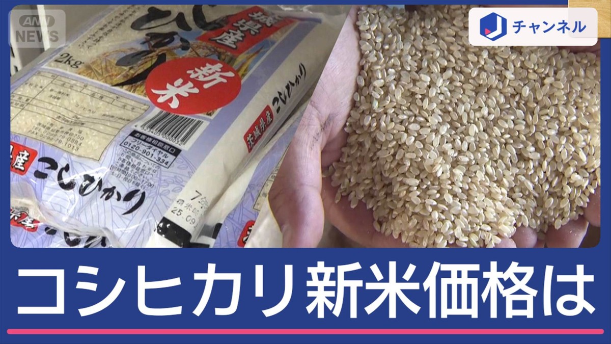 「コシヒカリ」今年の出来は？暑さに強い新品種も