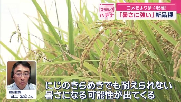 農研機構　水田利用研究領域長
白土宏之さん