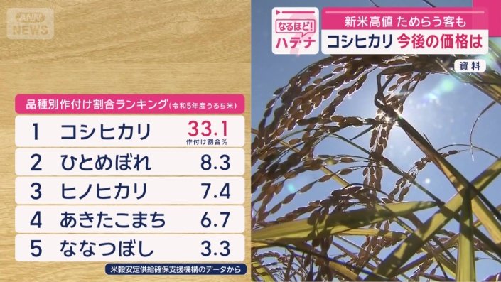 品種別作付け割合ランキング（令和5年産うるち米）