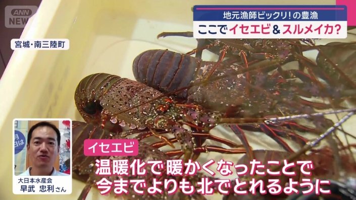 なぜ、各地で意外な海の幸が豊漁？