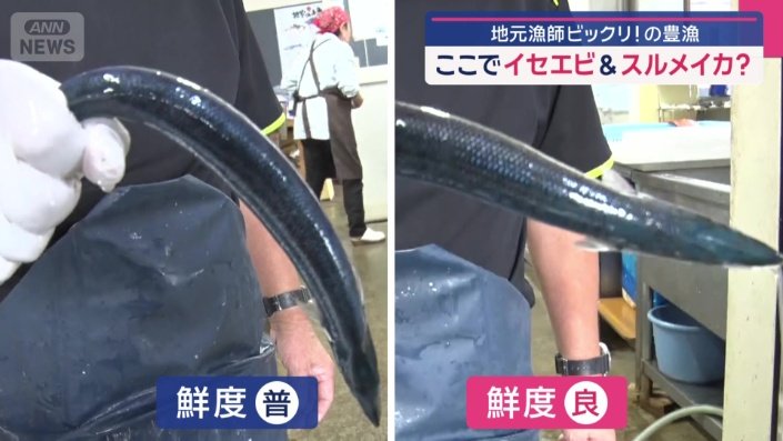 サイズだけでなく鮮度も良い