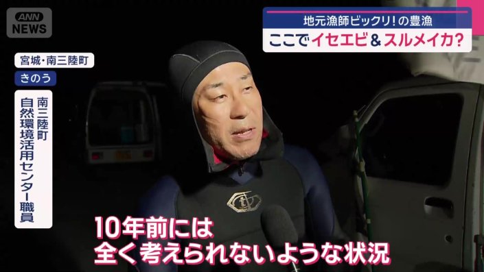 イセエビの生息調査を開始