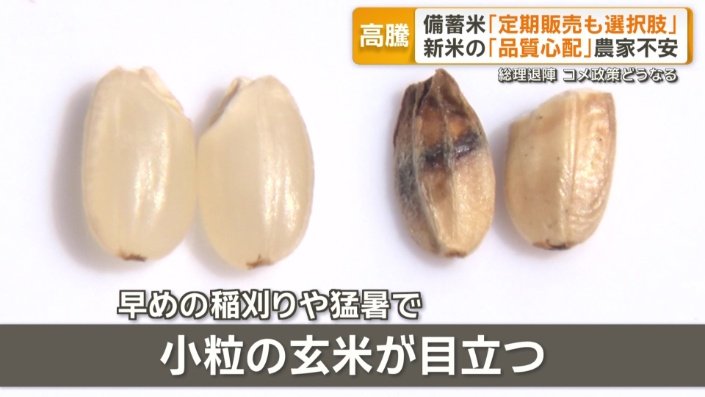 早めの稲刈りや猛暑などが原因で…