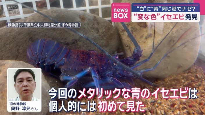 専門家も「初めて見た」