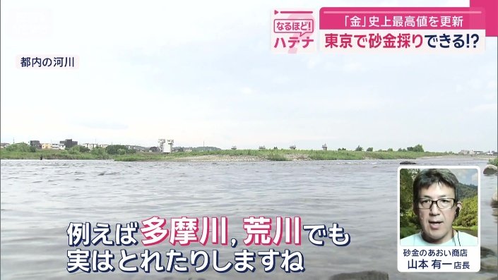 「多摩川、荒川でも実は採れたりします」