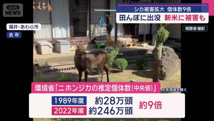 推定個体数（中央値）は、約40年前に比べ9倍に増加（※北海道を除く）