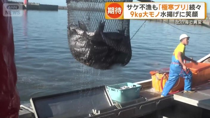 別の船でも網にはブリが