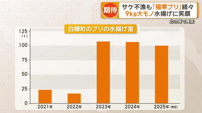 おととしから、ブリの水揚げ量が増加