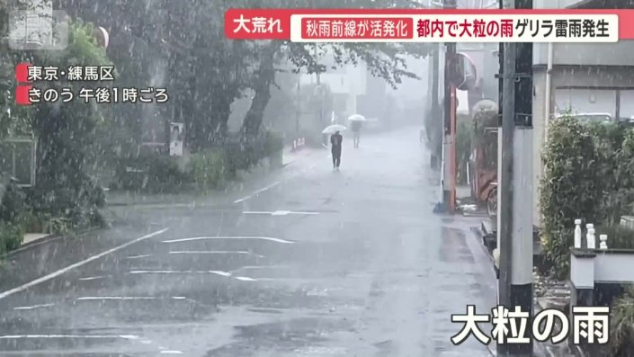 練馬区では雪のような大粒の雨