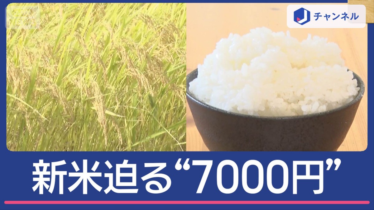 新米“高騰”迫る7000円　価格はどう決まる？格安“銘柄米”も