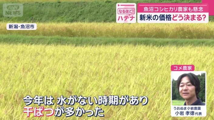 コメ農家　うおぬま小岩農園　小岩孝徳代表