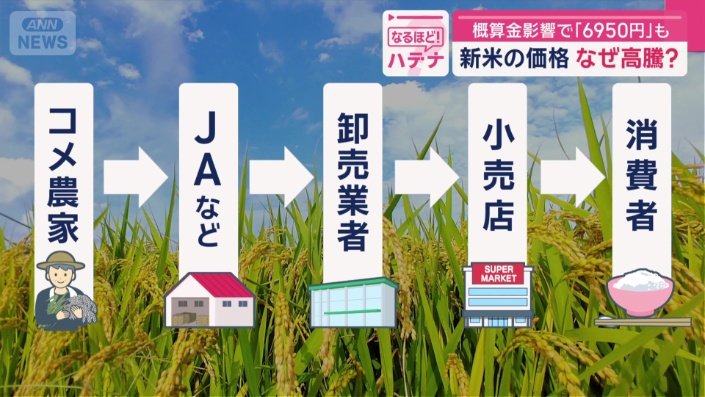 コメの主な流通ルート