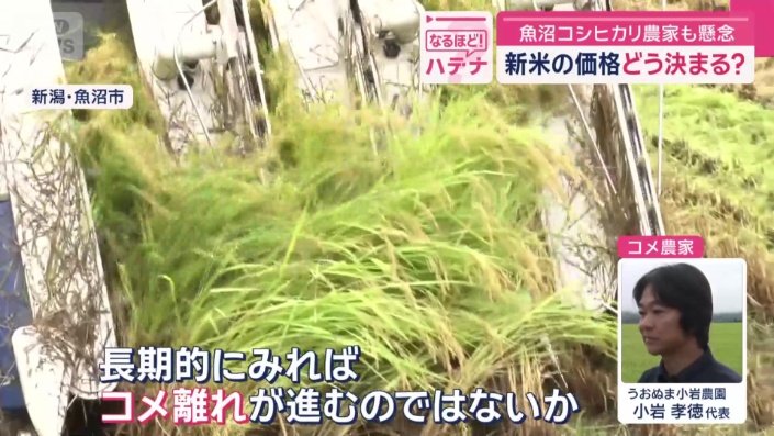 「コメ離れが進むのではないか」
