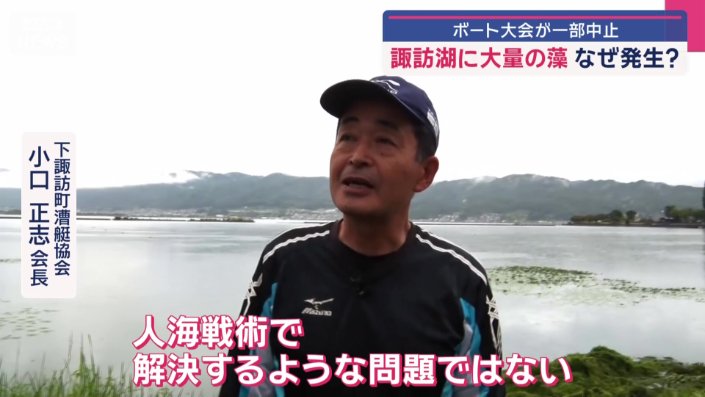 毎朝藻の除去作業を行っているが…