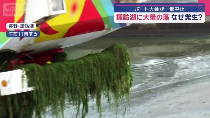 車体にも藻が…