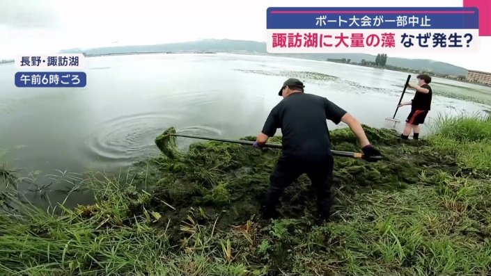 陸地ではなく藻の上に立っていた