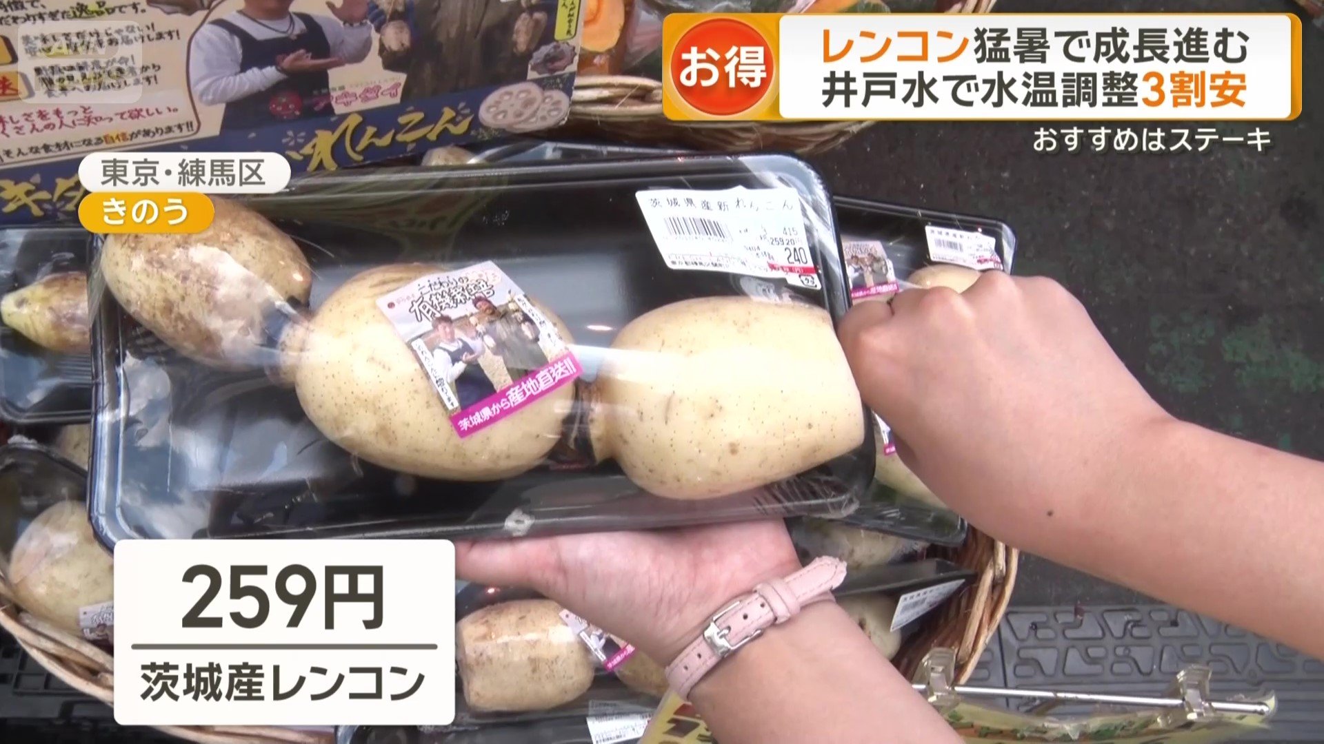 茨城産レンコン259円