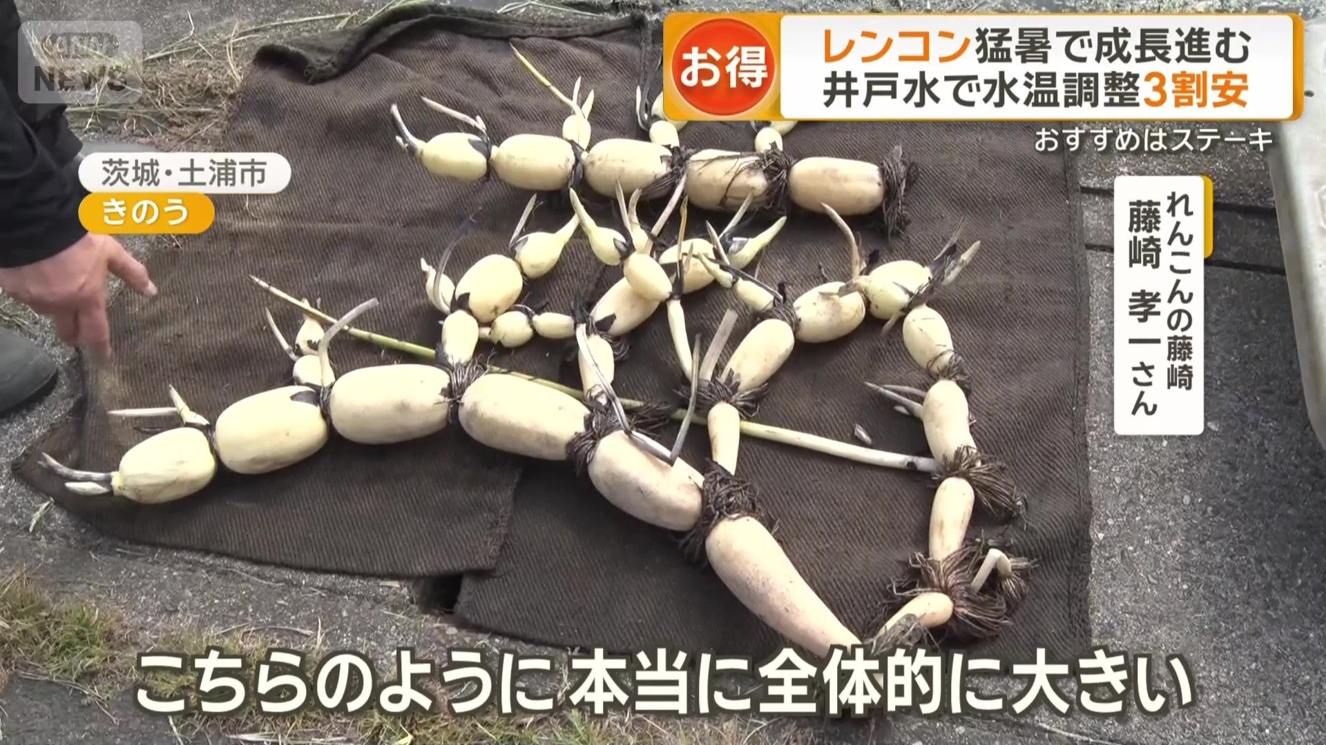 「本当に全体的に大きい」
