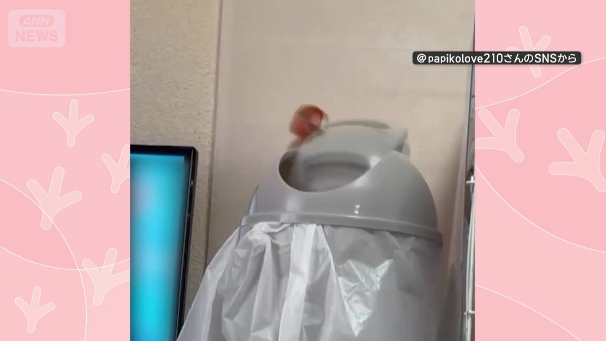 一心不乱に高速回転！