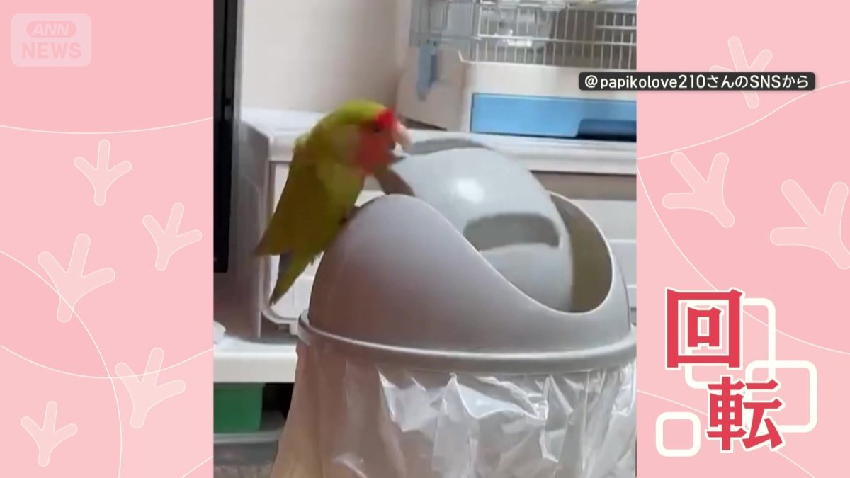 ごみ箱のフタを回転させる