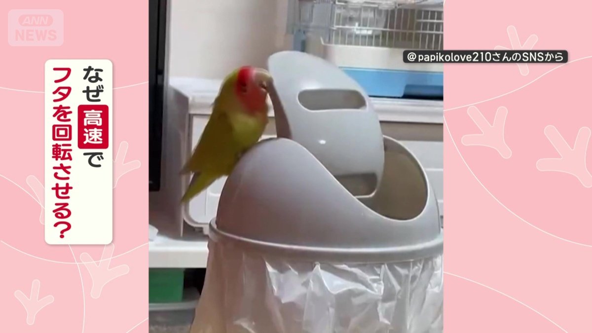 なぜフタを高速で回転させる？