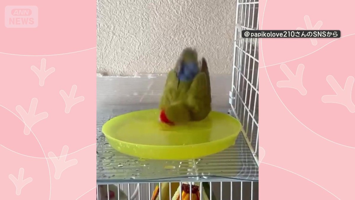 水浴び