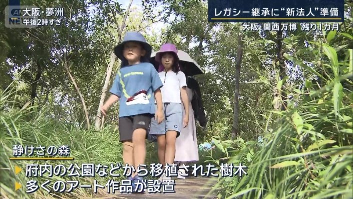 静けさの森