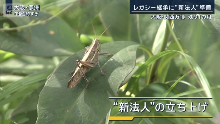 新たな法人の立ち上げ