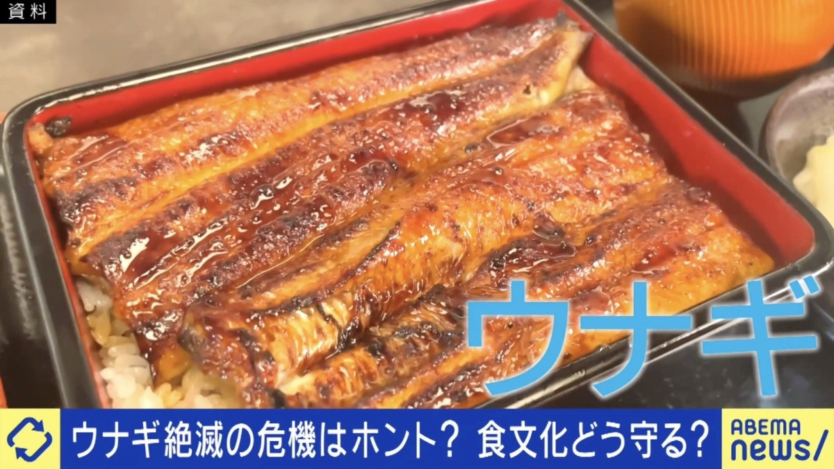 ウナギの違法行為とは？専門家「正規ルートを通さず、裏ルートで売る行為」「原産国から香港に密輸されている可能性が高い」